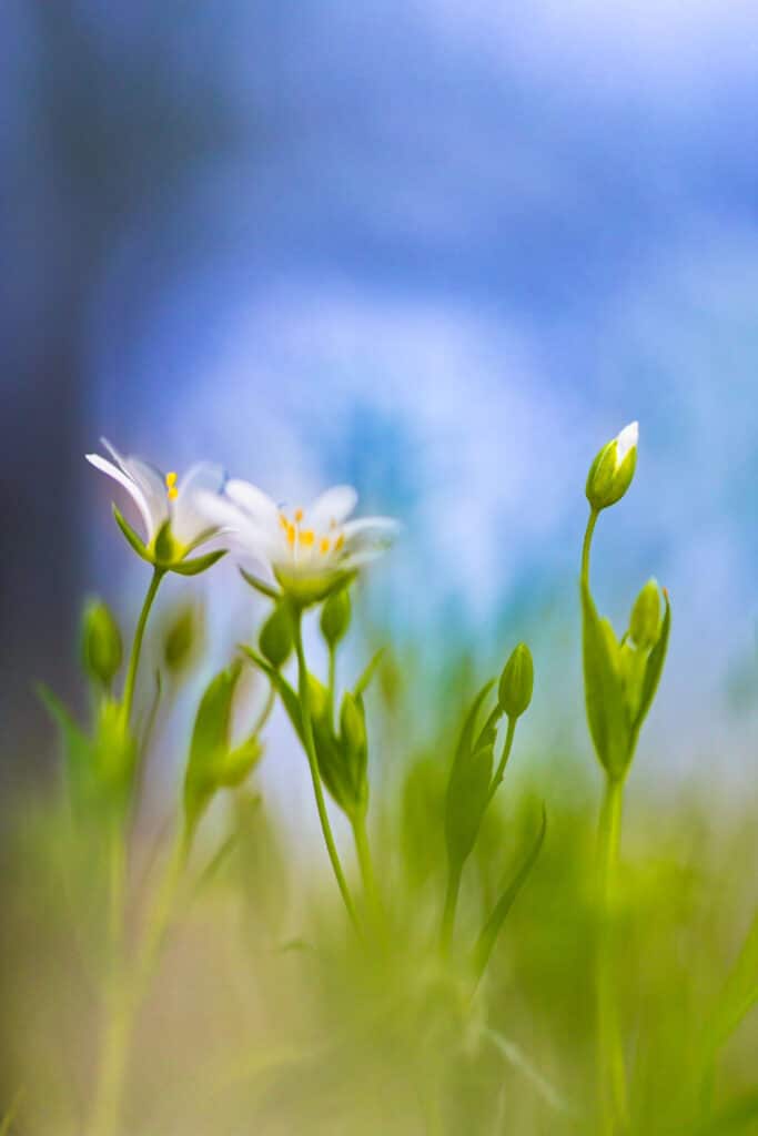 20180415 MG 5694 Betere Landschapsfoto