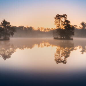 Workshop Landschapsfotografie Oisterwijkse vennen