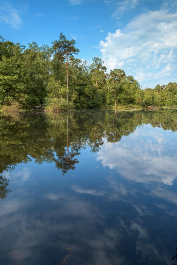 Oisterwijkse vennen en bossen