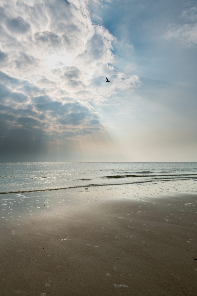 Nederlandse kust Betere Landschapsfoto