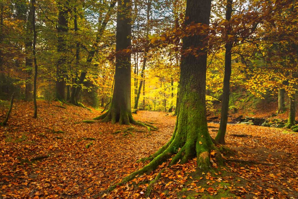 AAJ5386 Betere Landschapsfoto