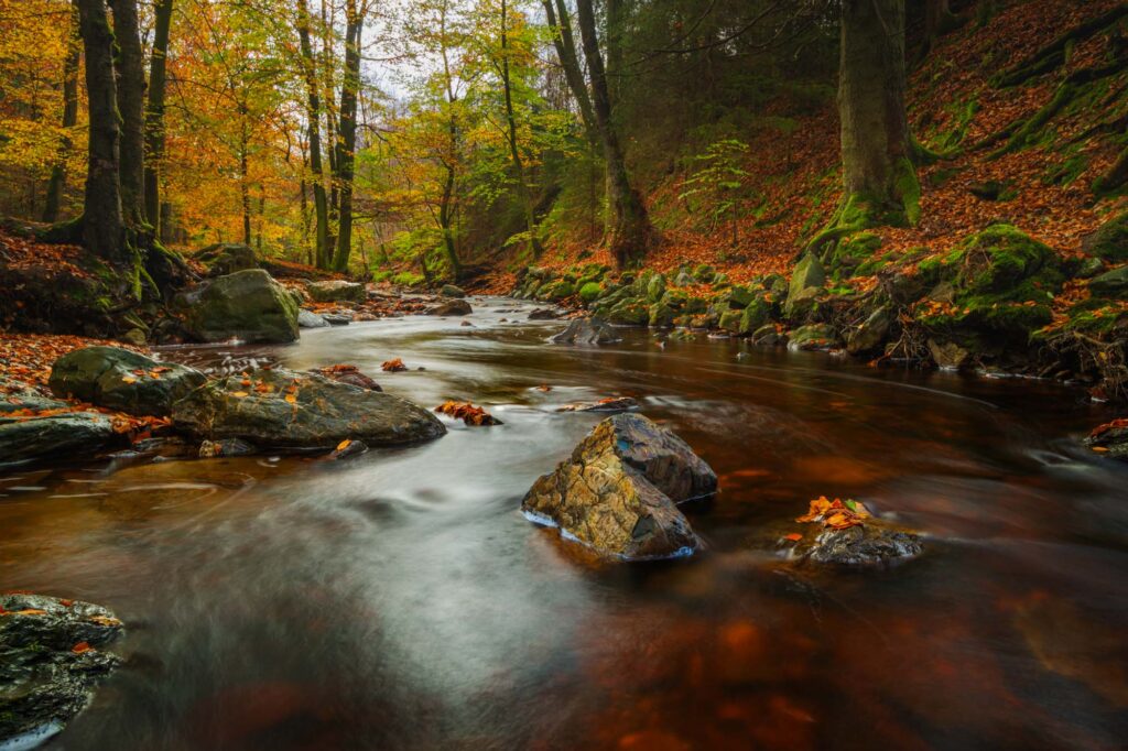 AAJ5392 Betere Landschapsfoto