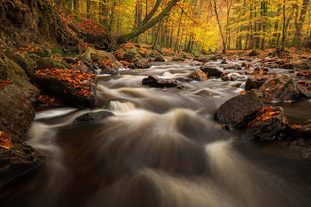 AAJ5493 Betere Landschapsfoto