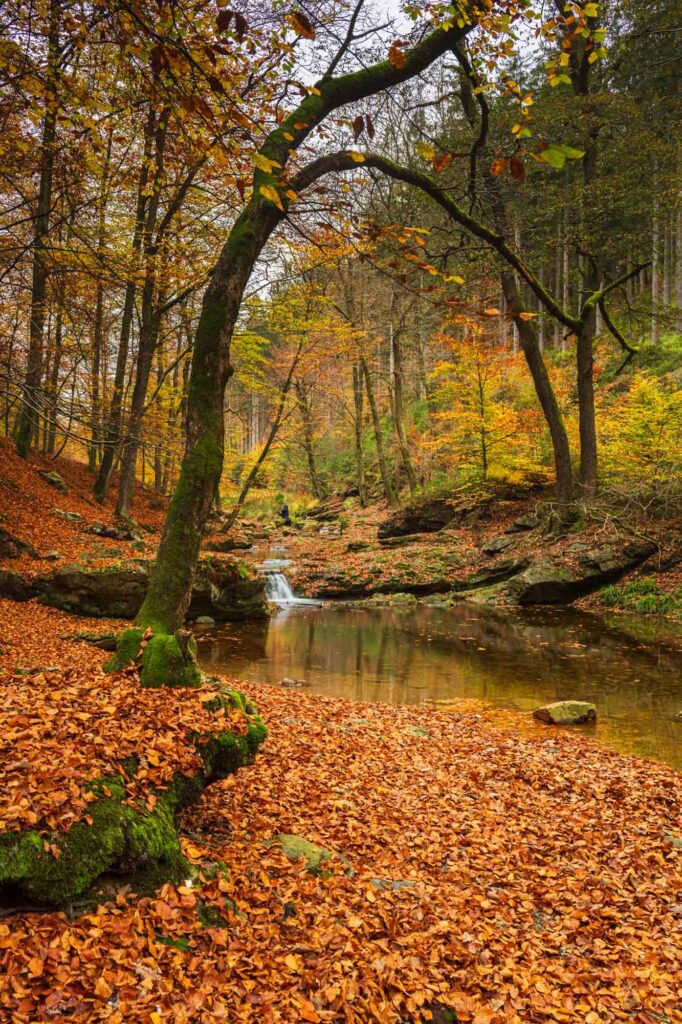 AAJ5889 Betere Landschapsfoto