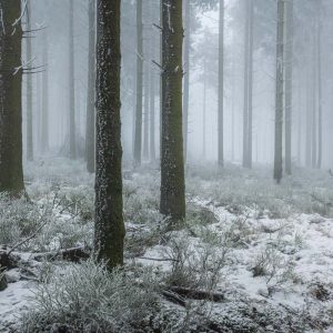 Workshop Landschapsfotografie Hoge Venen in de winter