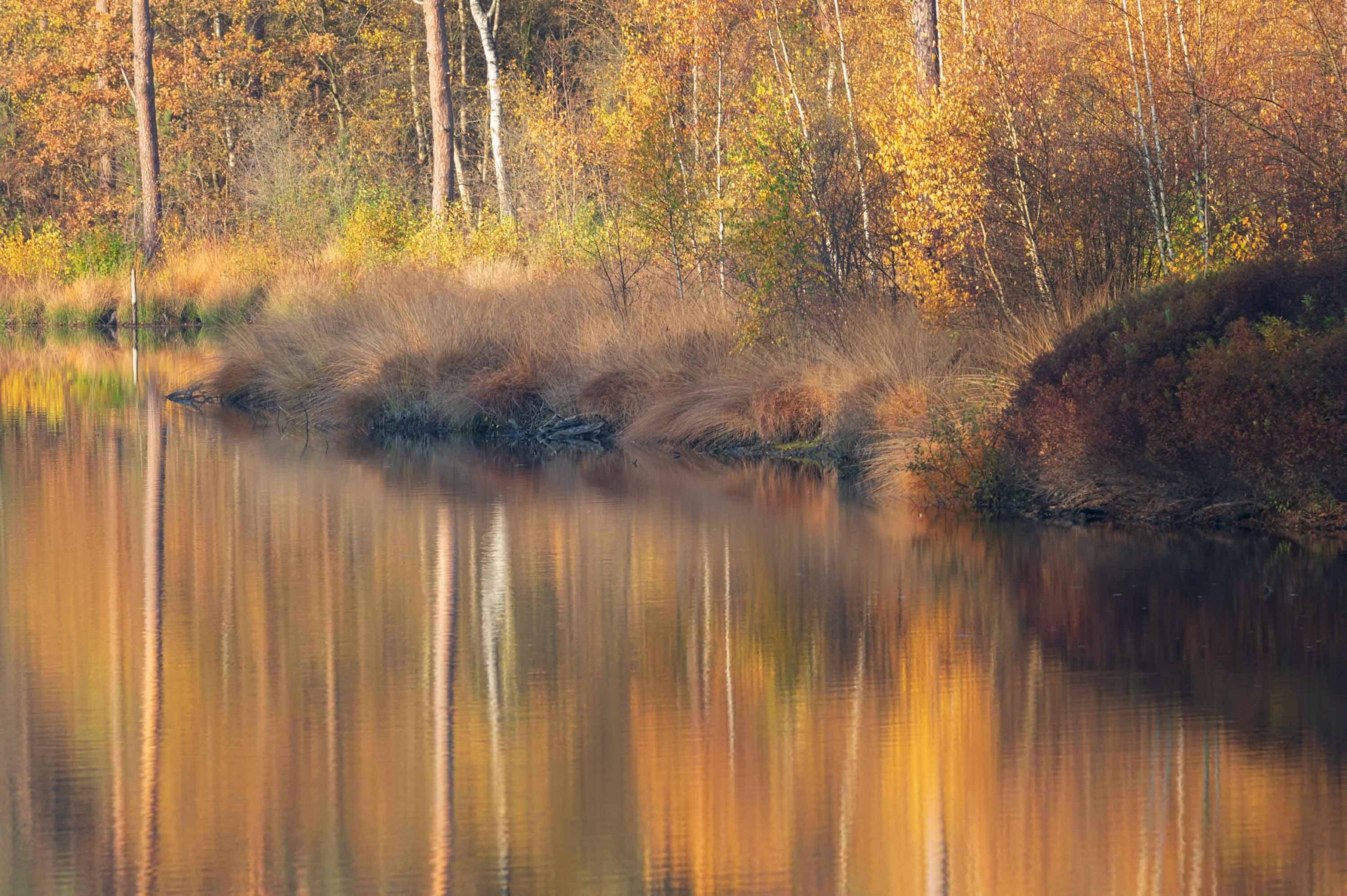 5 Effectieve tips voor herfstfotografie