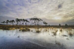 AAJ2097 Betere Landschapsfoto