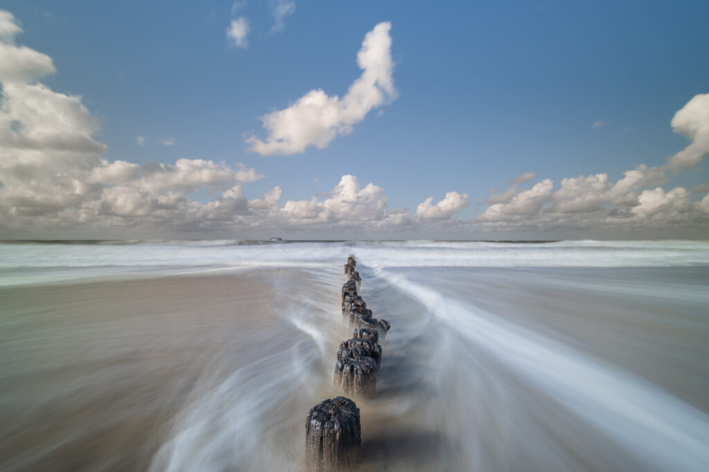 Palenrij in Cadzand-Bad.