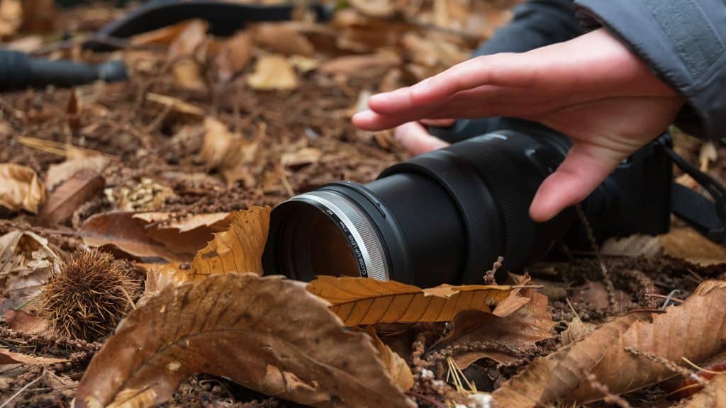 NiSi close Up Lens Kit In Het Bos Beterelandschapsfoto