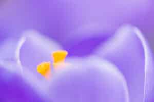 AAH0524 Betere Landschapsfoto