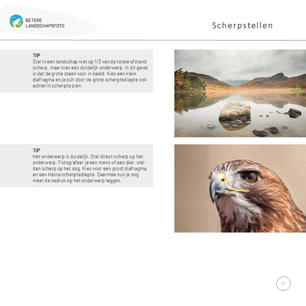 Voorbeeldpagina e-book Groei in natuurfotografie.