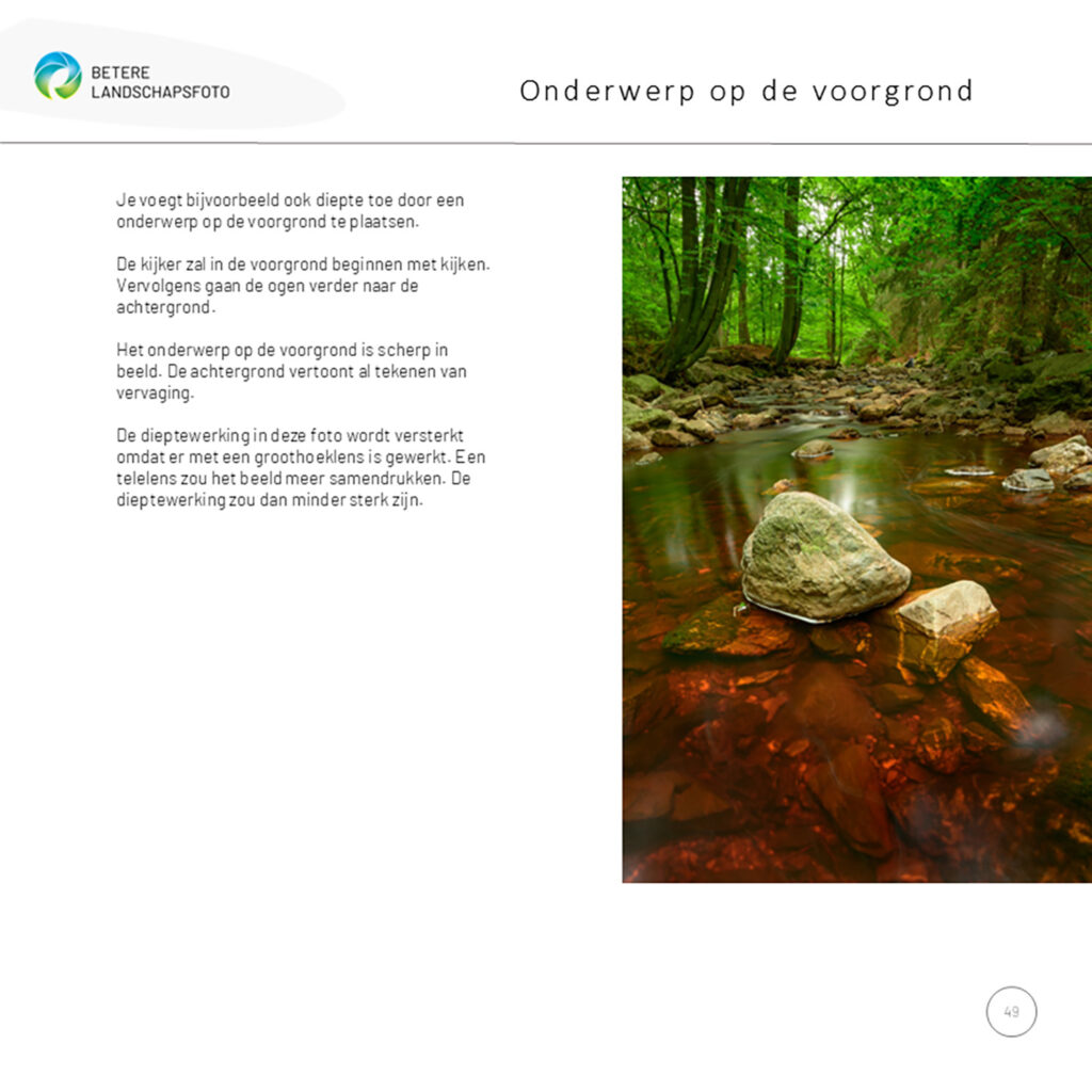 Voorbeeldpagina e-book Groei in natuurfotografie.