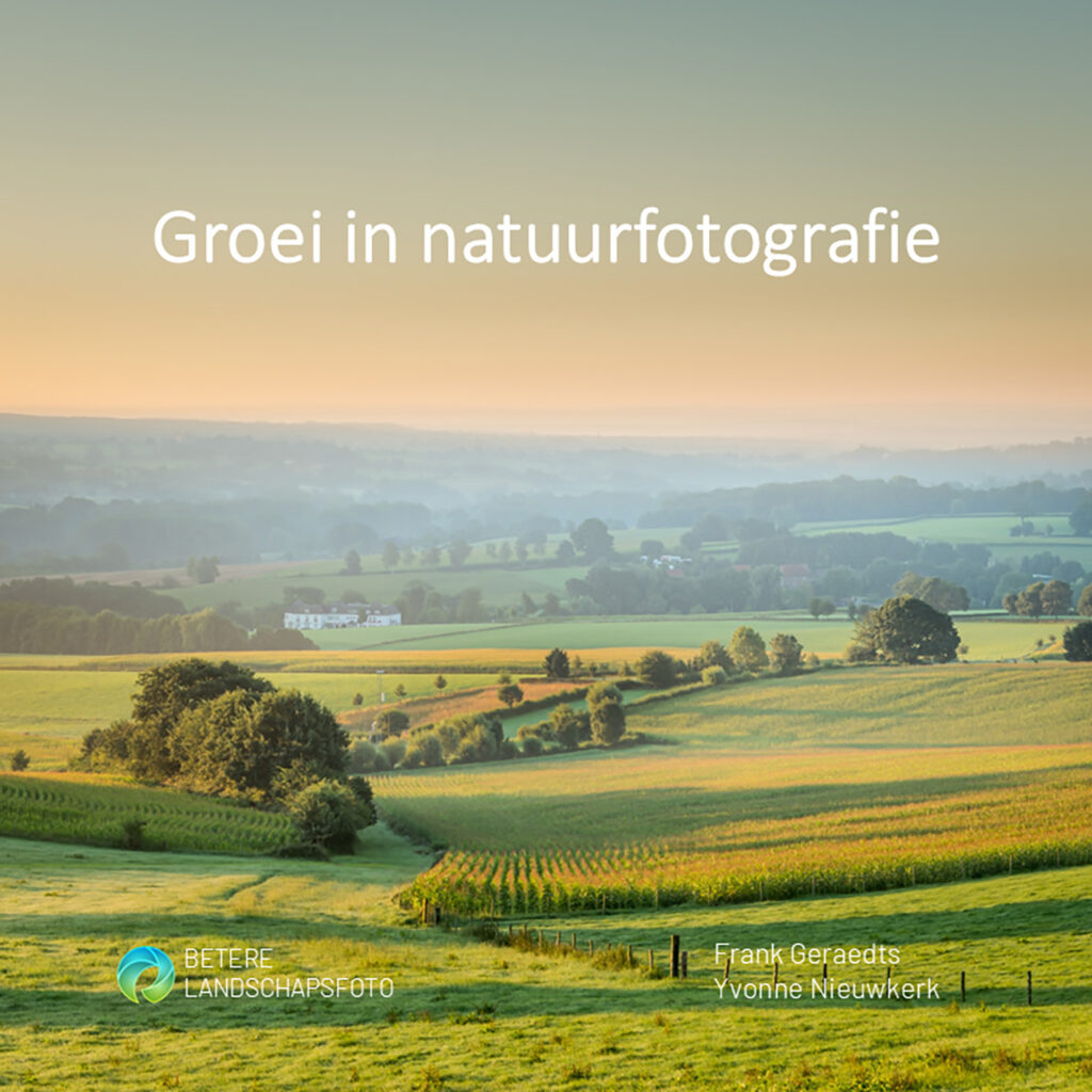 Voorbeeldpagina e-book Groei in natuurfotografie.