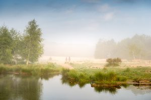 7 Tips voor betere natuurfoto's 8 7 Tips Voor Betere Natuurfotos 8 Betere Landschapsfoto