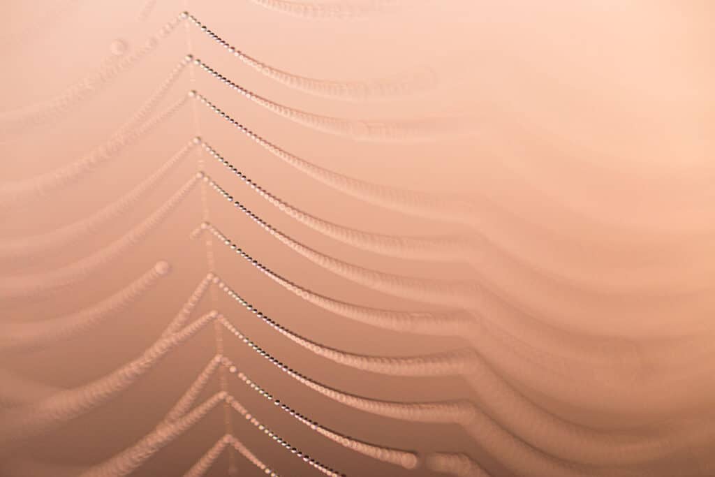 20160902 MG 9373 Betere Landschapsfoto