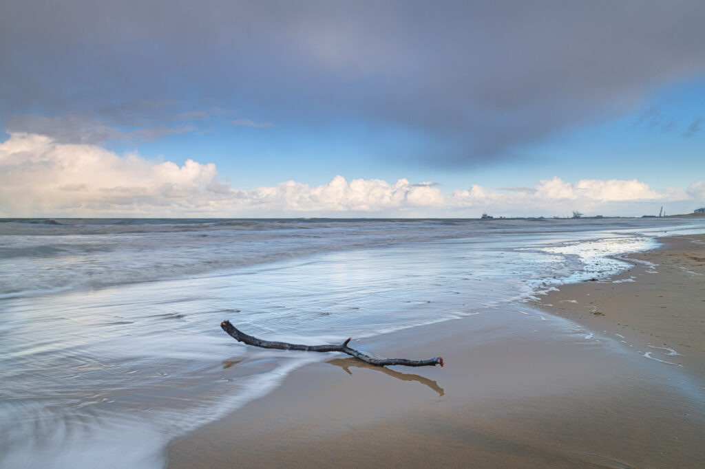 Foto gemaakt tijdens de workshop natuurfotografie aan de Belgische kust