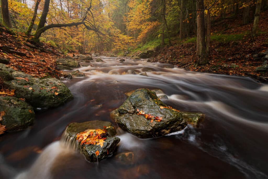 AAJ1307 Betere Landschapsfoto