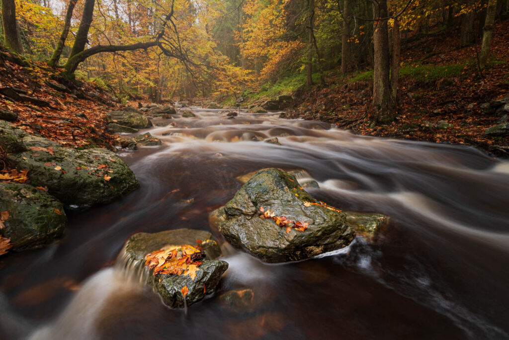 AAJ1307 2 Betere Landschapsfoto