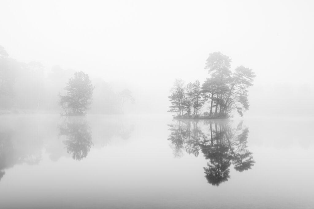 Herfstfotografie werkt ook zonder kleur, bijvoorbeeld als het mistig is.