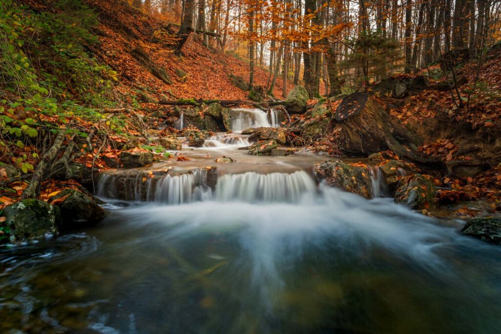 AAJ1546 Betere Landschapsfoto