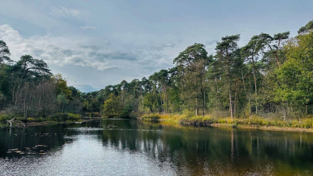 IMG 9328 2 Betere Landschapsfoto