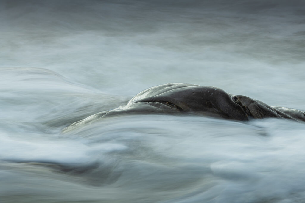 AAJ0904 Betere Landschapsfoto