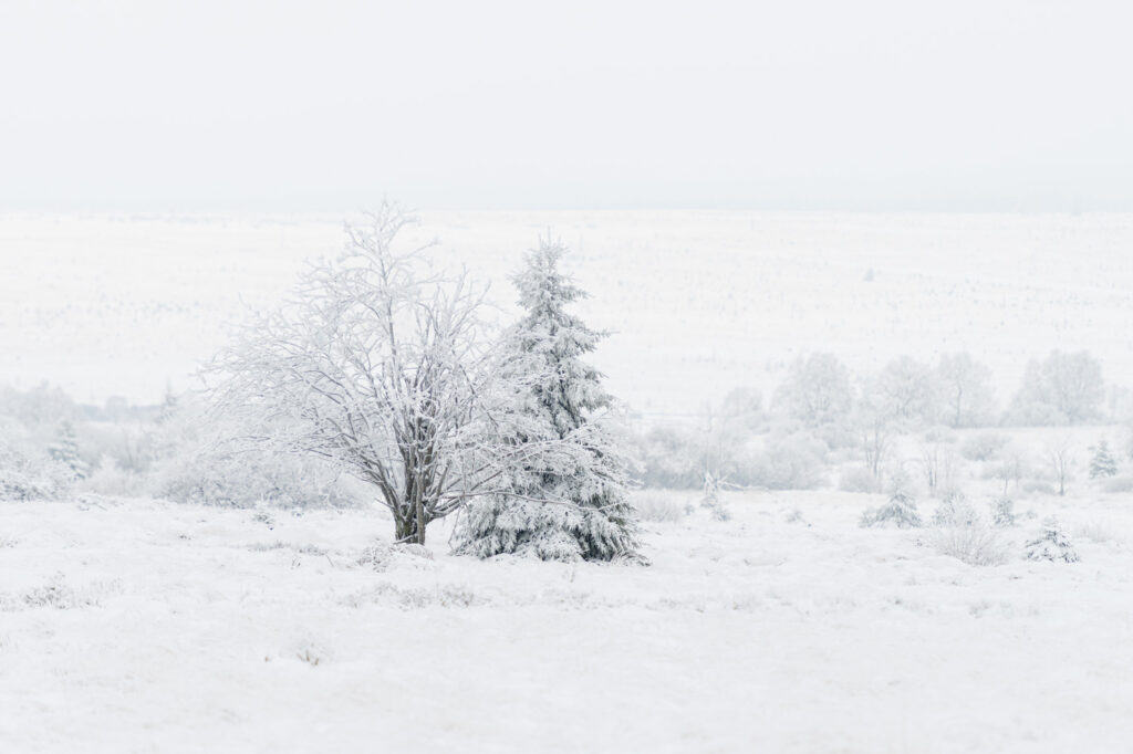 AAJ1872 Betere Landschapsfoto