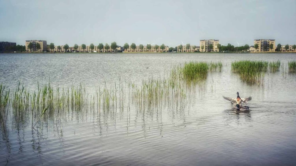 Attachment 1 Betere Landschapsfoto