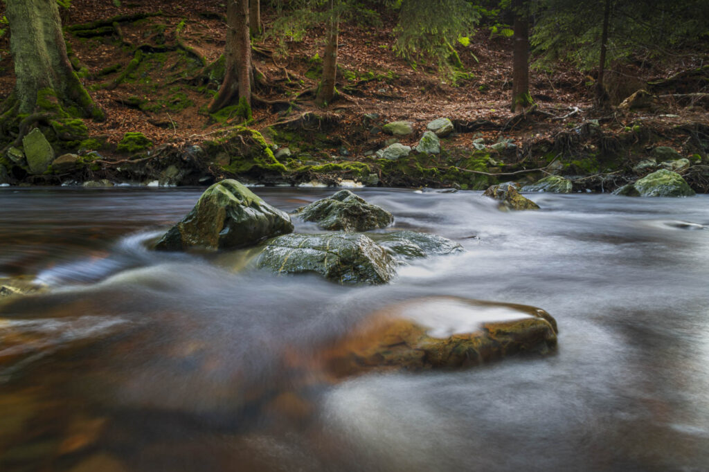 Lightroom Classic: de voordelen in het kort 1 Lightroom Classic Cursus Betere Landschapsfoto