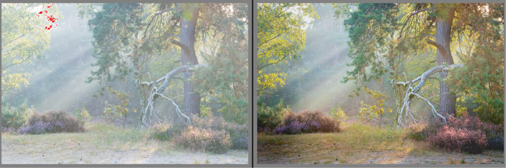 Lightroom Classic: de voordelen in het kort 3 Lightroom Classic Voorbeeld Nabewerking Cursus Betere Landschapsfoto