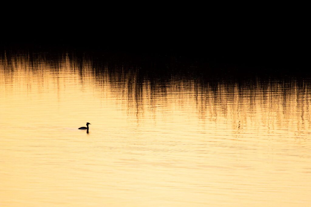 20150411 IMG 7459 Betere Landschapsfoto