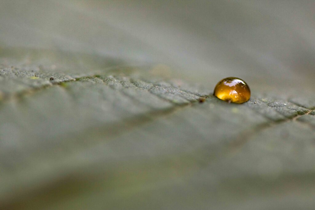 20160719 MG 7358 Betere Landschapsfoto