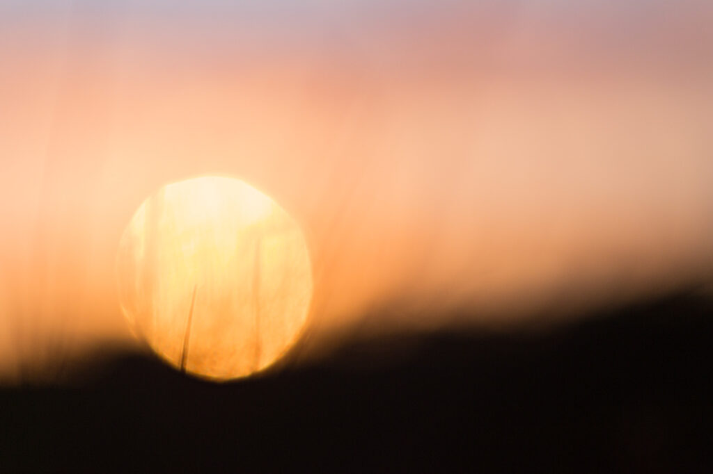 20160821 MG 8659 Betere Landschapsfoto