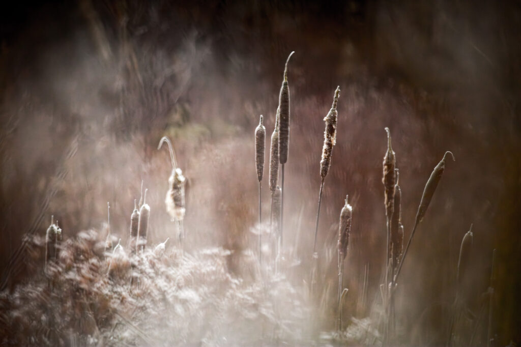 Landschapsfotografie met je telelens 4 20161231 MG 3812 Verbeterd NR Betere Landschapsfoto