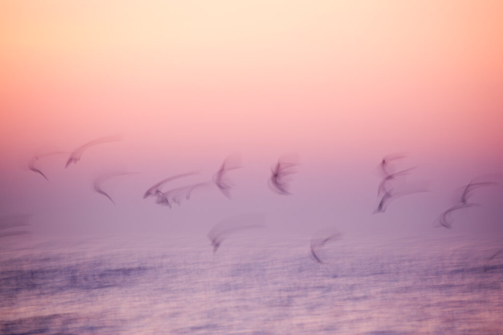 20170218 MG 5477 Betere Landschapsfoto