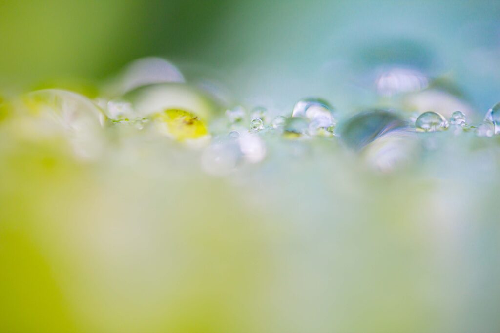 20170630 MG 0467 Betere Landschapsfoto