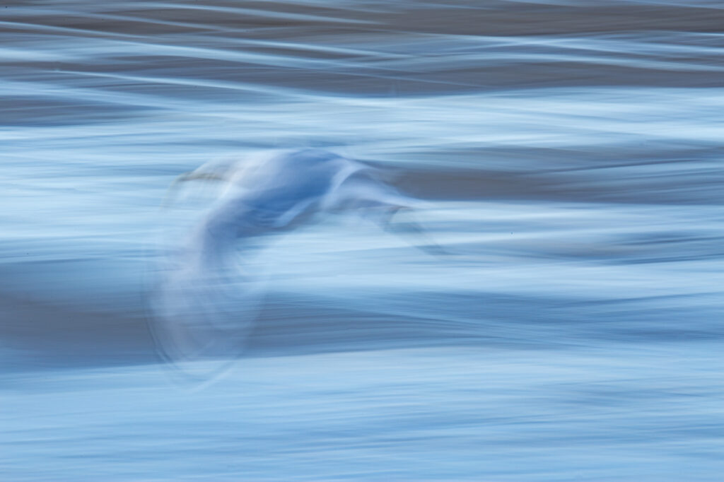 Intentional Camera Movement in natuurfotografie 5 20170912 MG 2736 Betere Landschapsfoto