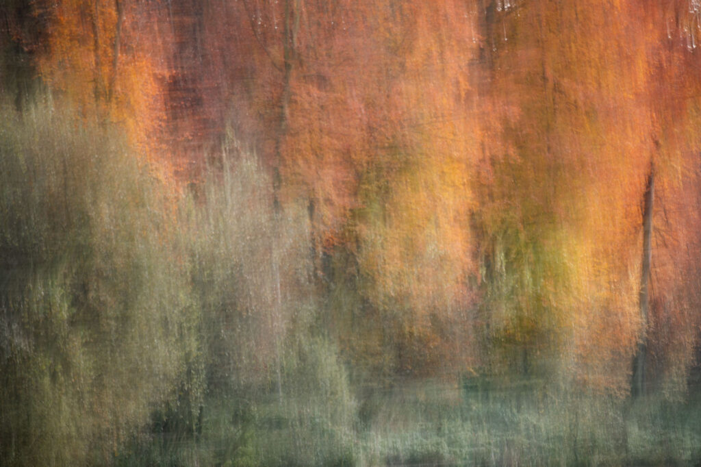Intentional Camera Movement in natuurfotografie 2 20191122 G8A0545 Betere Landschapsfoto