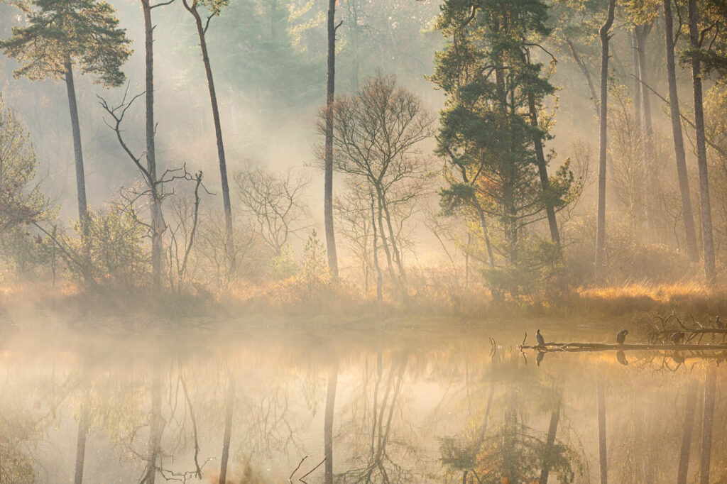 Landschapsfotografie met je telelens 1 20191124 G8A0570 Betere Landschapsfoto