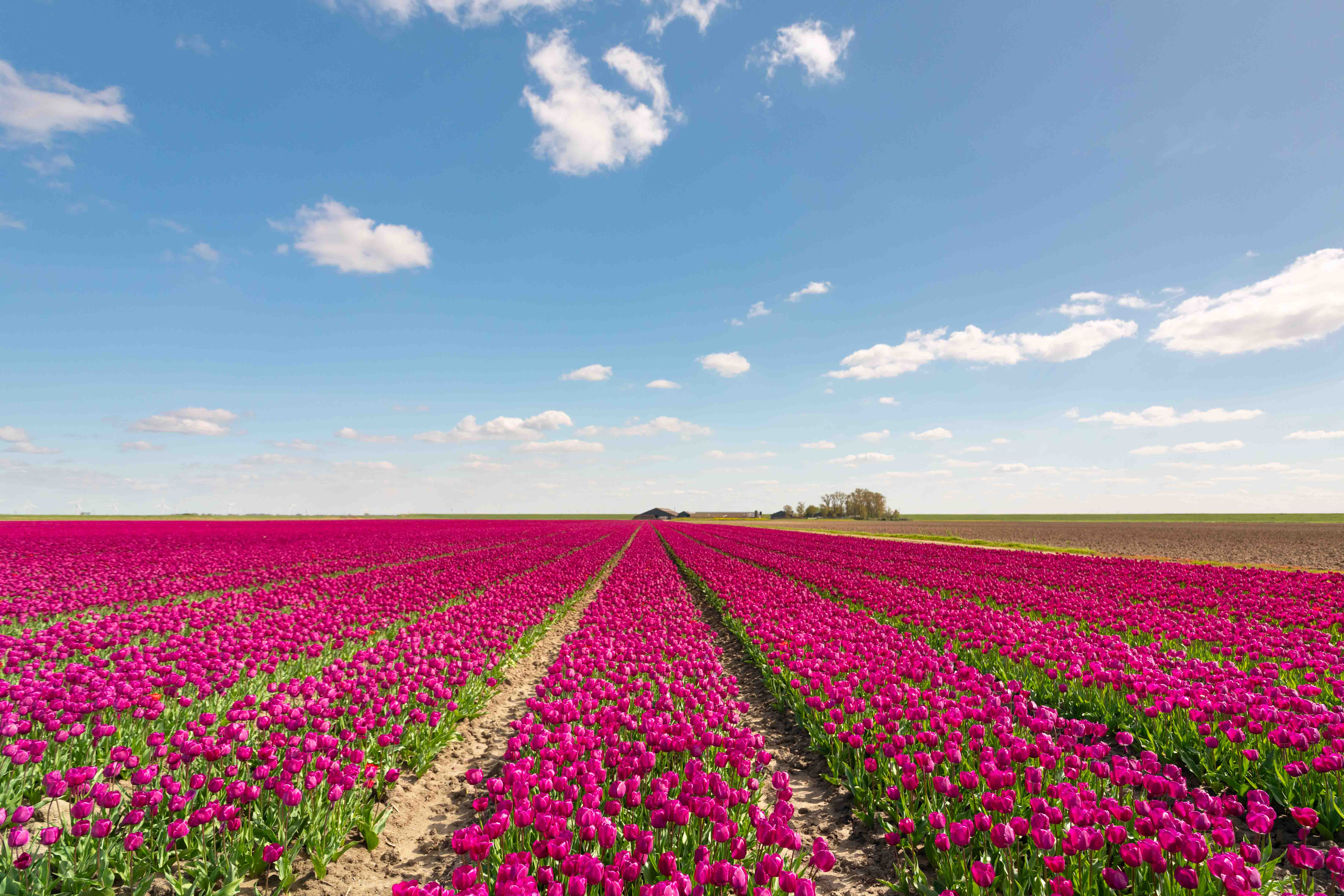 20240410 G8A0218 Betere Landschapsfoto