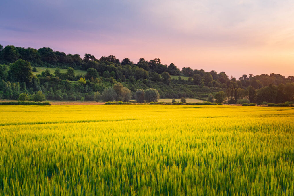 AAA0744 Betere Landschapsfoto