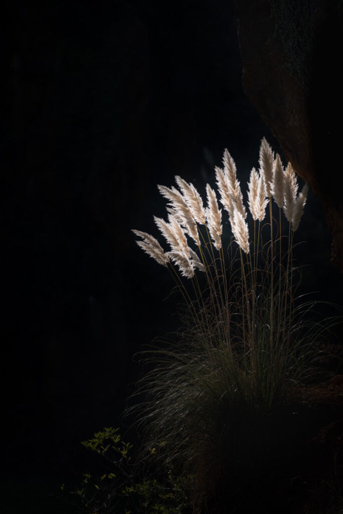 AAE1820 Betere Landschapsfoto