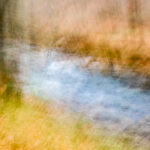 Intentional camera movement in natuurfotografie: landschap