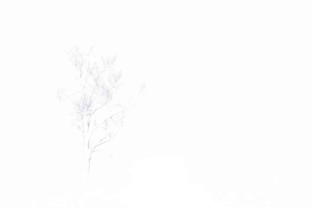 AAG7335 1 Betere Landschapsfoto