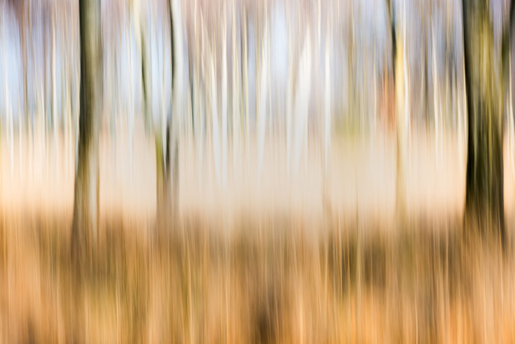 Intentional Camera Movement in natuurfotografie 4 AAG9538 Betere Landschapsfoto