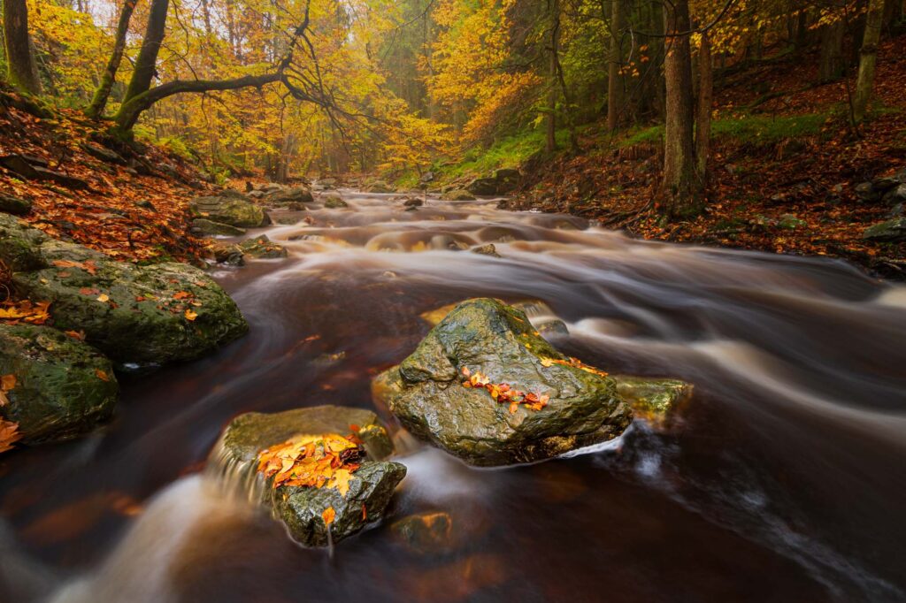 Praktisch gebruik van het histogram in natuurfotografie 4 AAJ1307 Betere Landschapsfoto