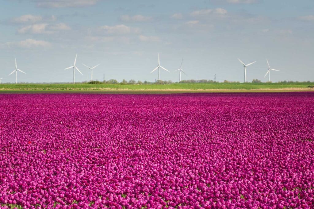 AAJ3161 Betere Landschapsfoto