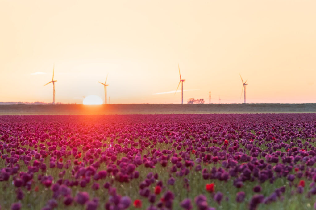 AAJ3452 Betere Landschapsfoto