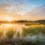 Praktisch gebruik van het histogram in natuurfotografie Praktisch-Gebruik-Histogram-Natuurfotografie