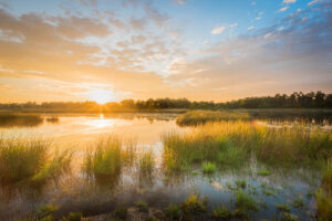 Sunset at the Huisvennen The Netherlands 2 Betere Landschapsfoto